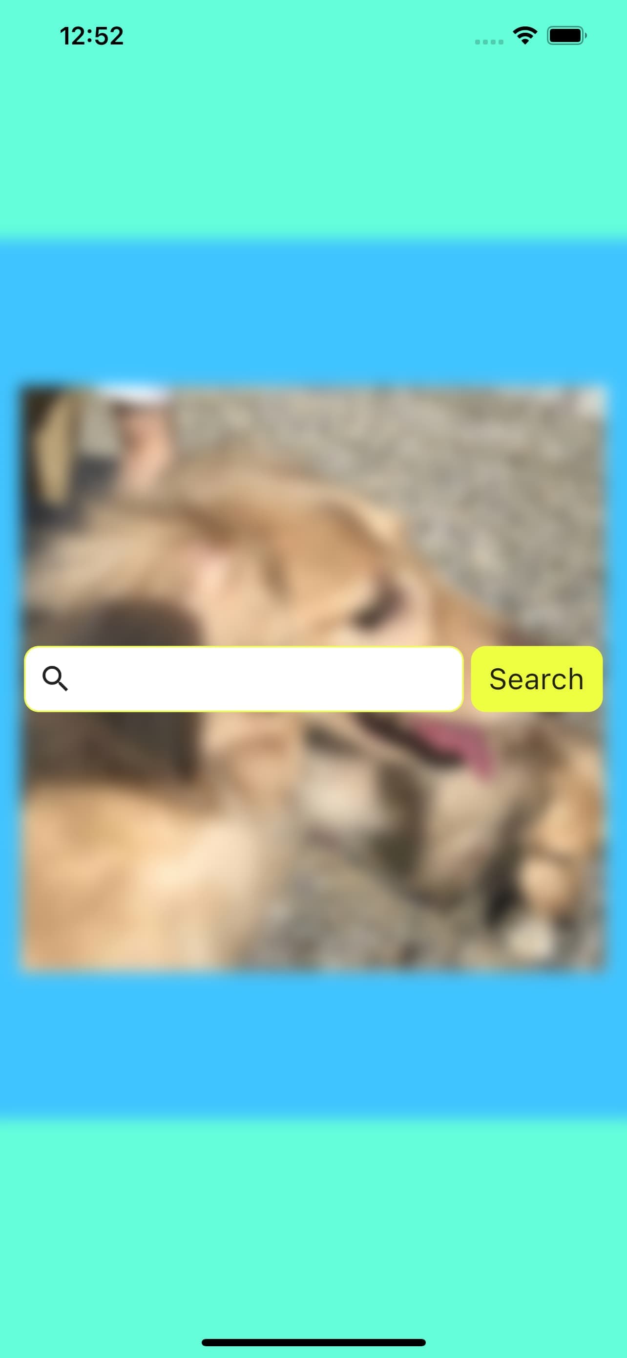【Flutter】Widgetを強調する