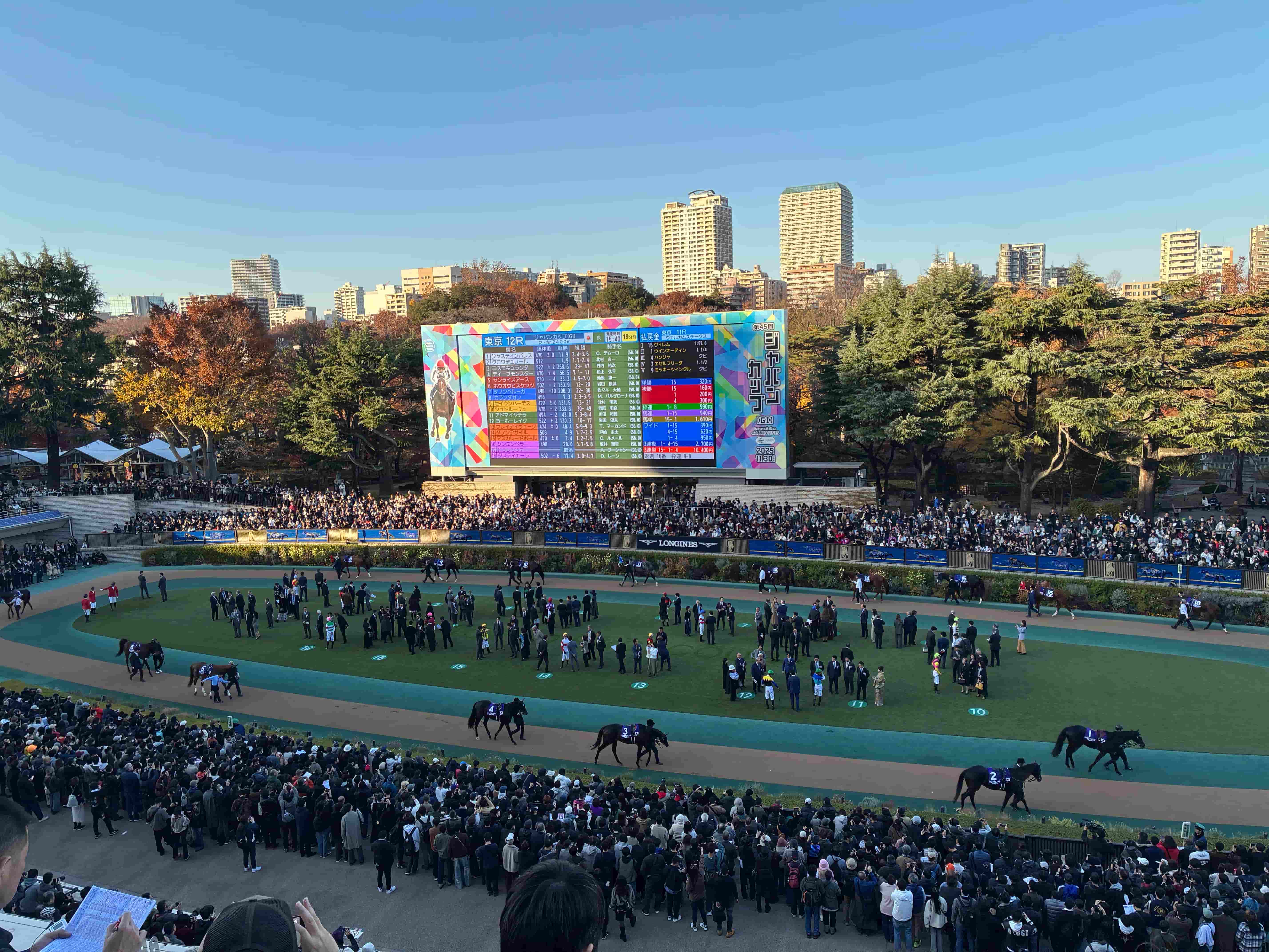 【iPhone】シングルカメラとデュアルカメラの比較【今更】