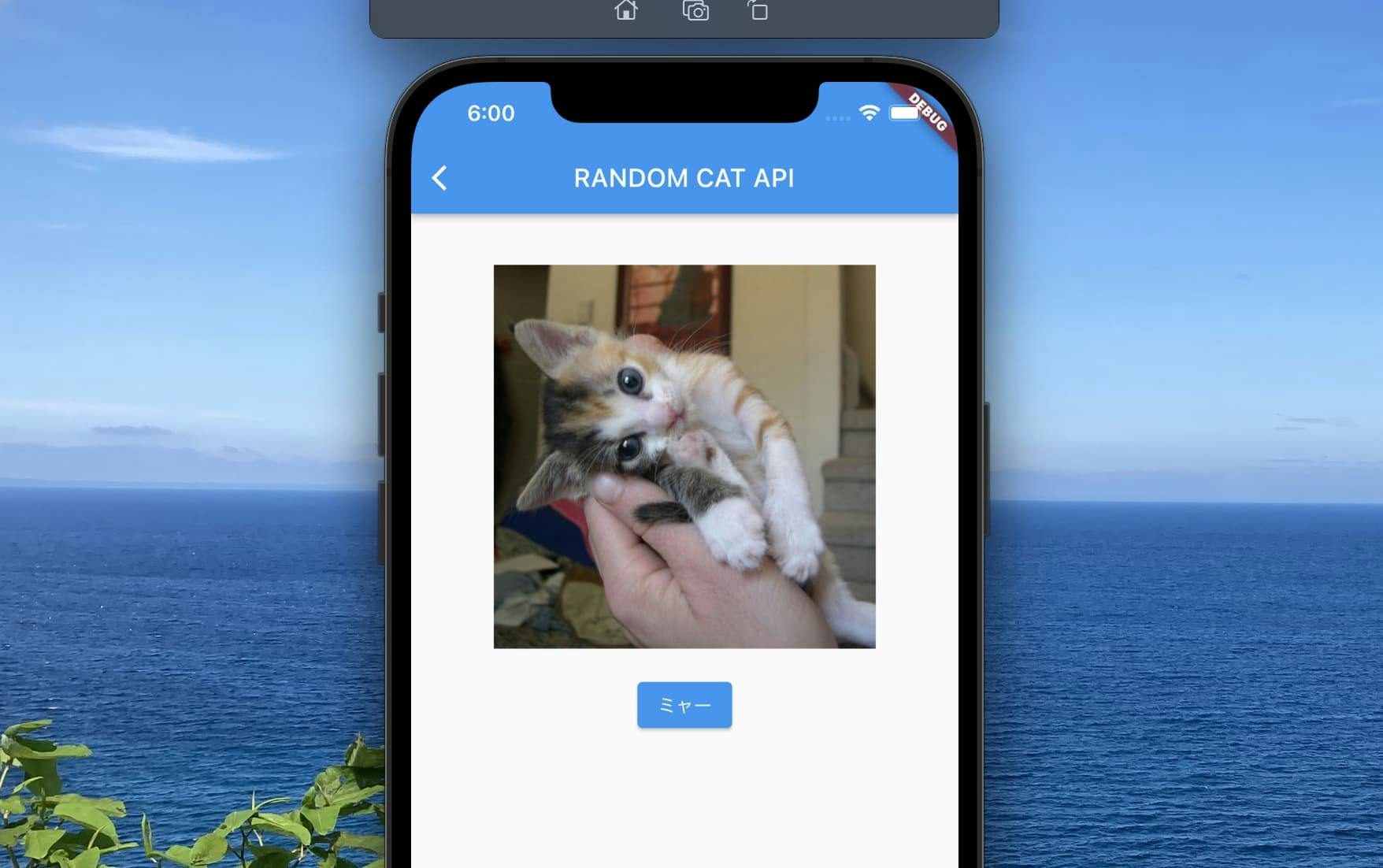 【Flutter】APIを叩いて猫の画像を表示させてみる